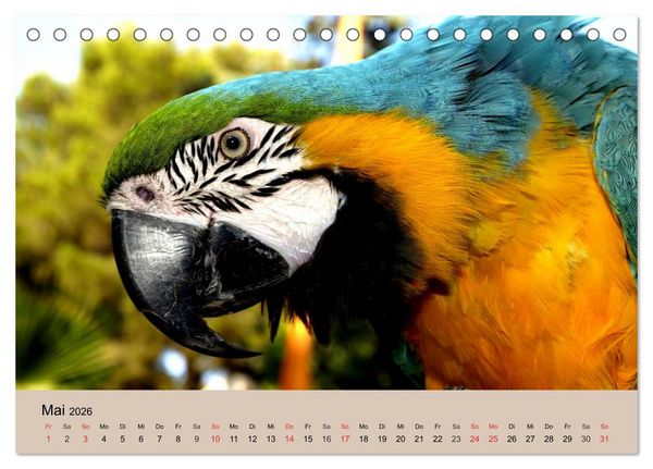 Produktbild: Brasilien. Impressionen (Tischkalender 2026 DIN A5 quer), CALVENDO Monatskalender