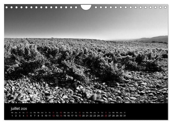 Produktbild: VIGNES DU SUD terroirs d'AOC (Calendrier mural 2026 DIN A4 vertical), CALVENDO calendrier mensuel