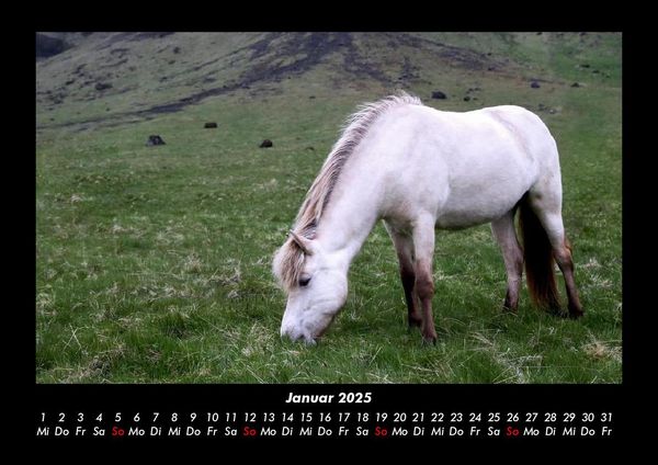 Produktbild: Die Welt der Pferde 2025 Fotokalender DIN A3