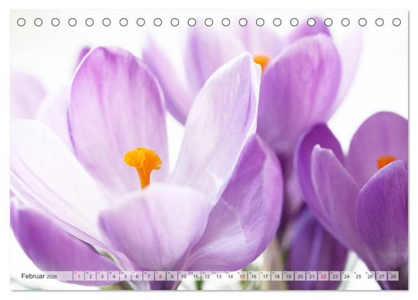 Produktbild: Blumenlust (Tischkalender 2026 DIN A5 quer), CALVENDO Monatskalender