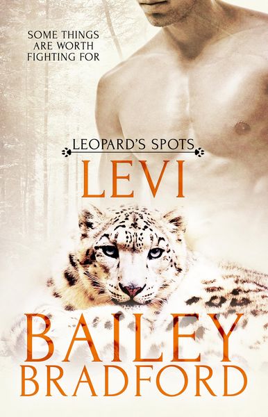 Produktbild: Levi
