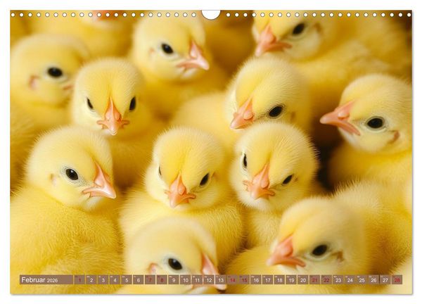 Produktbild: Kuschelblicke (Wandkalender 2026 DIN A3 quer), CALVENDO Monatskalender