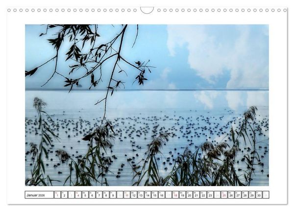 Produktbild: Bodensee - Seesucht (Wandkalender 2026 DIN A3 quer), CALVENDO Monatskalender