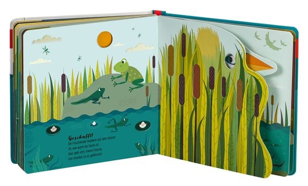 Produktbild: Edition Piepmatz: Wie kleine Tiere gro&szlig; werden: Der kleine Frosch