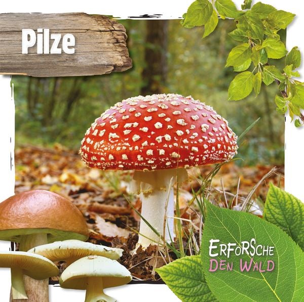 Produktbild: Pilze