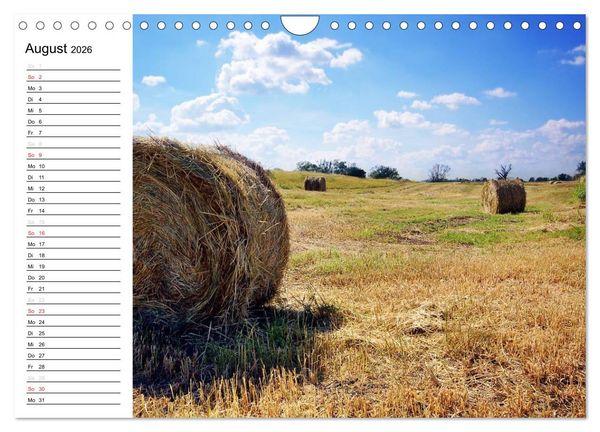 Produktbild: Die Jahreszeiten im Havelland (Wandkalender 2026 DIN A4 quer), CALVENDO Monatskalender