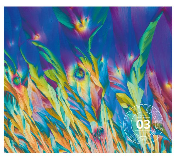 Produktbild: The Art of Science Kalender 2027 | Faszinierend-irisierende Mikroskopkunst