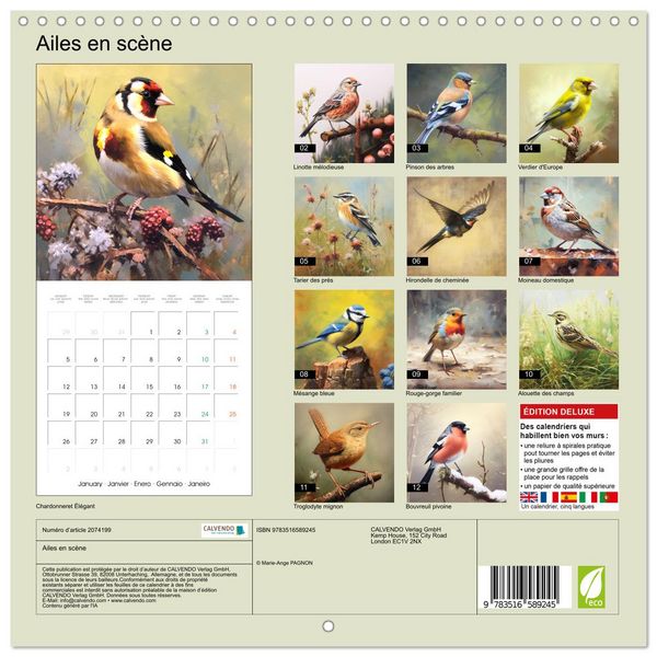 Produktbild: Ailes en sc&egrave;ne (Calendrier mural carr&eacute; 2026 30x30 cm) Calendrier double avec une page pour vos prises de notes