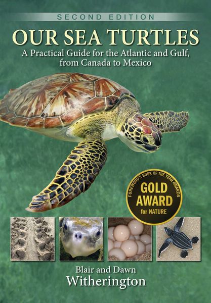 Produktbild: Our Sea Turtles