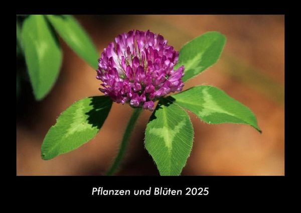 Pflanzen und Blüten 2025 Fotokalender DIN A3