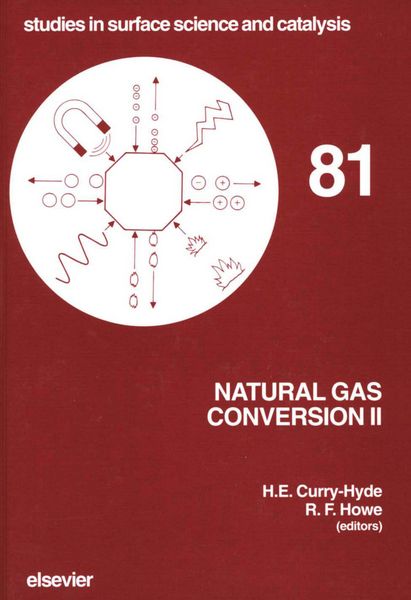 Produktbild: Natural Gas Conversion II