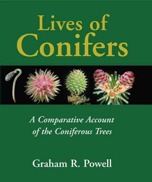 Produktbild: Powell, G: Lives of Conifers