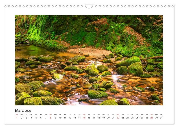 Produktbild: Eindr&uuml;cke aus der Natur (Wandkalender 2026 DIN A3 quer), CALVENDO Monatskalender