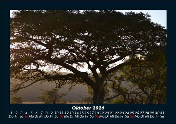 Produktbild: B&auml;ume 2026 Fotokalender DIN A5