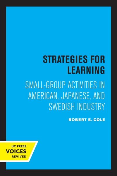 Produktbild: Strategies for Learning