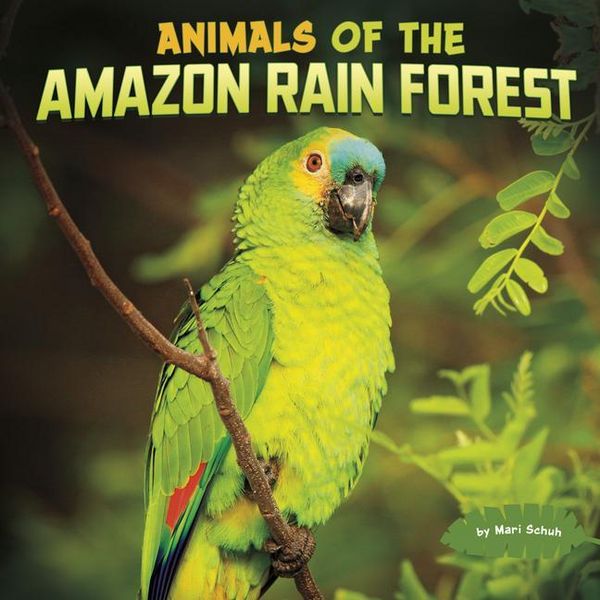 Produktbild: Animals of the Amazon Rain Forest