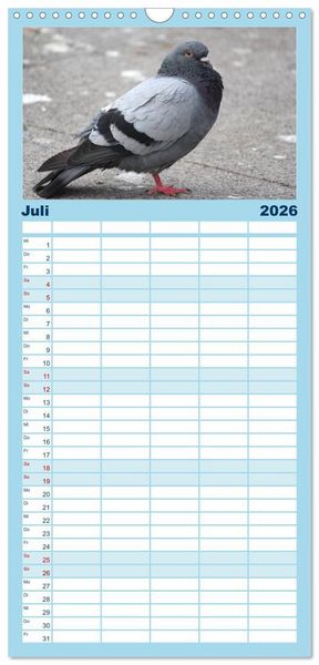 Produktbild: Familienplaner 2026 - Geliebte Tauben mit 5 Spalten (Wandkalender, 21 x 45 cm) CALVENDO