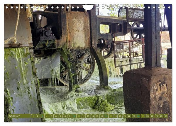 Produktbild: SISAL - von der Pflanze zum Produkt (Wandkalender 2027 DIN A4 quer), CALVENDO Monatskalender