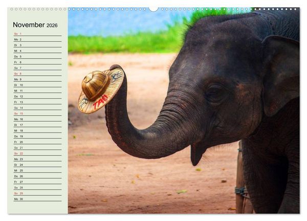Produktbild: Elefanten. Badespa&szlig; am Strand (hochwertiger Premium Wandkalender 2026 DIN A2 quer), Kunstdruck in Hochglanz