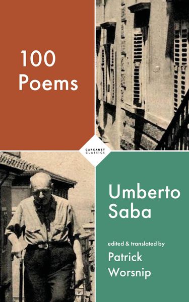 Produktbild: 100 Poems