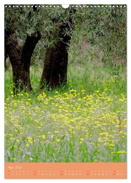 Produktbild: Provence Idyllen (Wandkalender 2026 DIN A3 hoch), CALVENDO Monatskalender