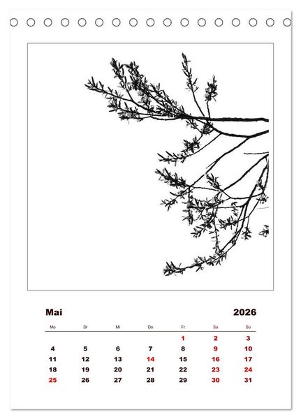 Produktbild: LignoGrafica - Muster und Strukturen der B&auml;ume (Tischkalender 2026 DIN A5 hoch), CALVENDO Monatskalender