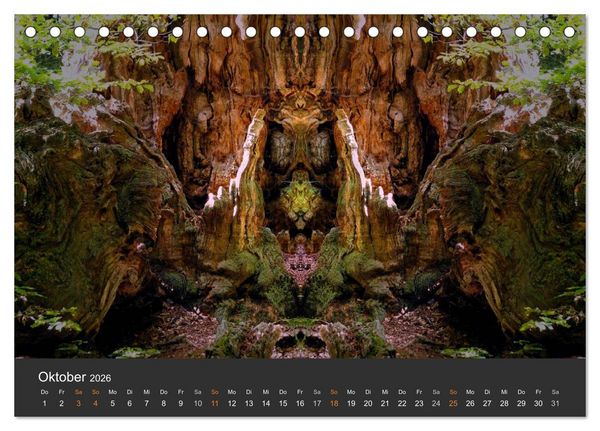 Produktbild: Spiegelwelten - Im Reich der Naturwesen (Tischkalender 2026 DIN A5 quer), CALVENDO Monatskalender