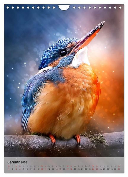 Produktbild: Schillernder Eisvogel (Wandkalender 2026 DIN A4 hoch), CALVENDO Monatskalender