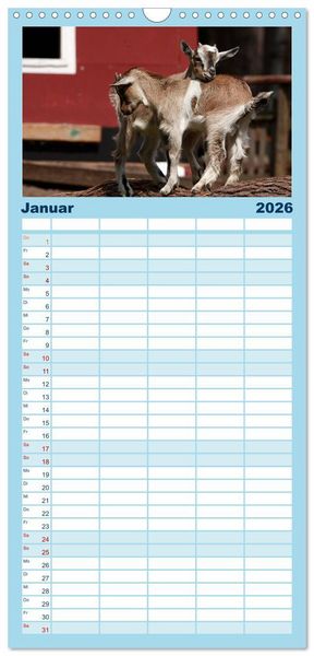 Produktbild: Familienplaner 2026 - Zwergziegen mit 5 Spalten (Wandkalender, 21 x 45 cm) CALVENDO