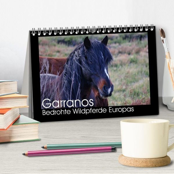 Produktbild: Garranos - Bedrohte Wildpferde Europas (Tischkalender 2026 DIN A5 quer), CALVENDO Monatskalender