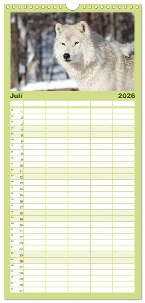 Produktbild: Familienplaner 2026 - W&ouml;lfe. Verwegene Anmut mit 5 Spalten (Wandkalender, 21 x 45 cm) CALVENDO