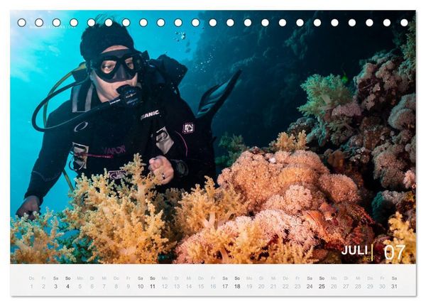Produktbild: Einfach Tauchen - Wunderbare Tauchpl&auml;tze und Korallenriffe (Tischkalender 2027 DIN A5 quer), CALVENDO Monatskalender