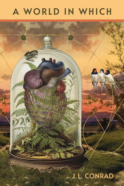 Produktbild: A World in Which