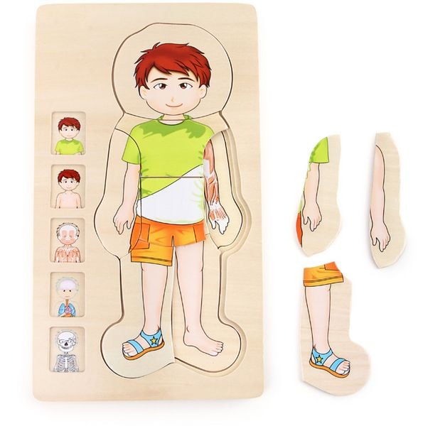Produktbild: Schichtenpuzzle Anatomie Junge
