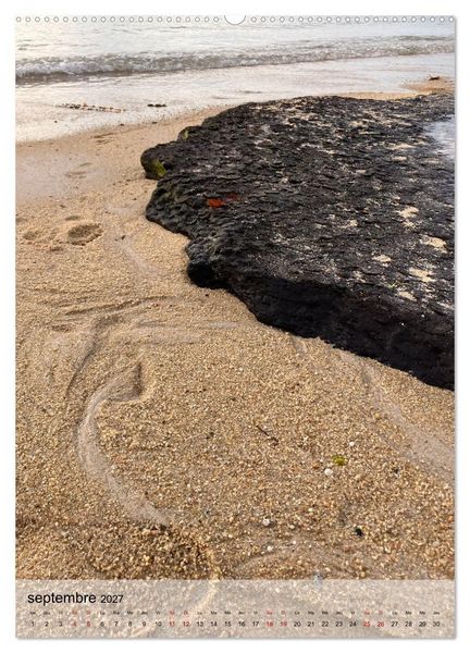 Produktbild: Plages et coquillages (Calendrier mural 2027 DIN A2 horizontal), CALVENDO calendrier mensuel