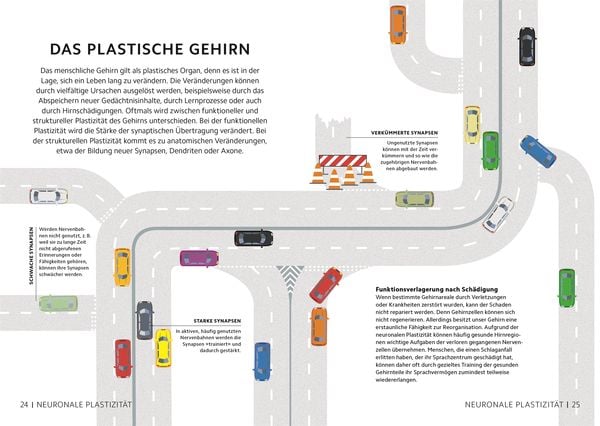 Produktbild: SIMPLY. Das Gehirn