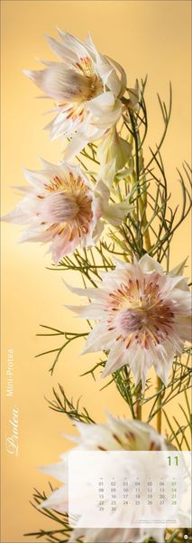 Produktbild: Magic Flowers Vertical Kalender 2027