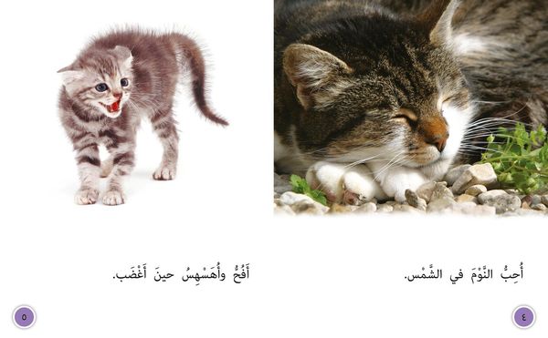 Produktbild: Big Cat Arabic - Tame Cat, W