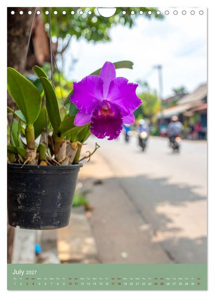 Produktbild: Cattleya - Breeder's Pride (Wall Calendar 2027 DIN A4 portrait), CALVENDO 12 Month Wall Calendar