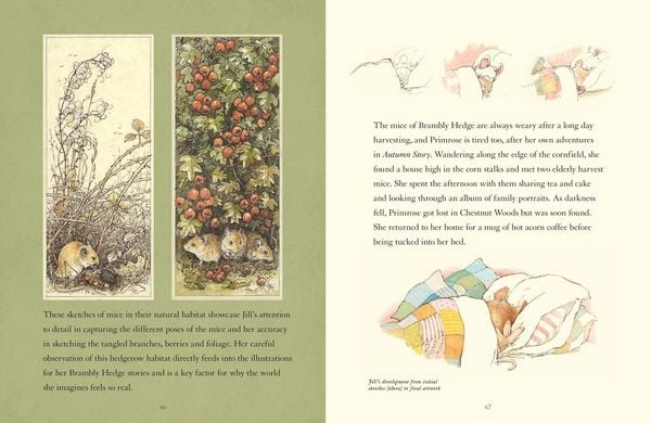 Produktbild: A Visit to Brambly Hedge