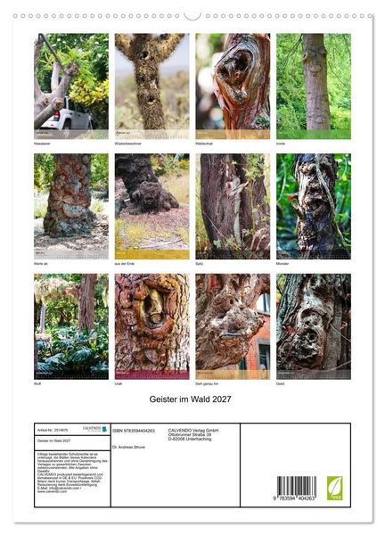 Produktbild: Geister im Wald 2027 (hochwertiger Premium Wandkalender 2027 DIN A2 hoch), Kunstdruck in Hochglanz