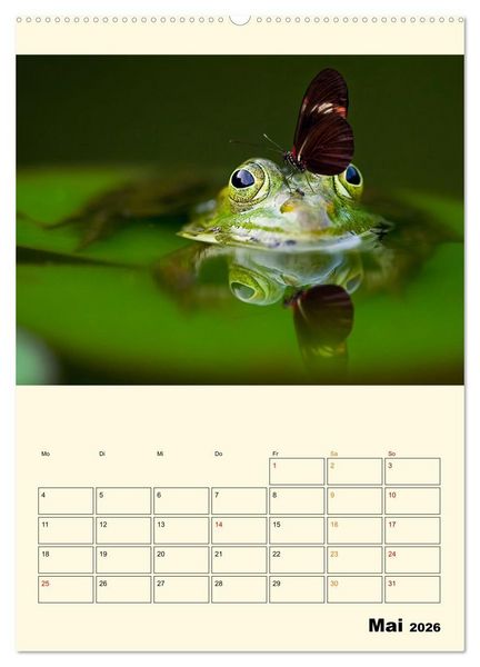 Produktbild: Lustig verr&uuml;ckt - der Tierkalender (hochwertiger Premium Wandkalender 2026 DIN A2 hoch), Kunstdruck in Hochglanz
