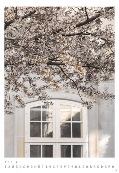 Produktbild: Mareike B&ouml;hmer: pure & simple Kalender 2027
