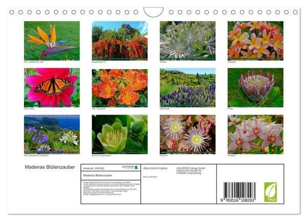 Produktbild: Madeiras Bl&uuml;tenzauber (Wandkalender 2026 DIN A4 quer), CALVENDO Monatskalender