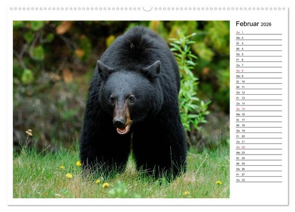 Produktbild: Alaskas Tierwelt - Paradies im Norden (Wandkalender 2026 DIN A2 quer), CALVENDO Monatskalender