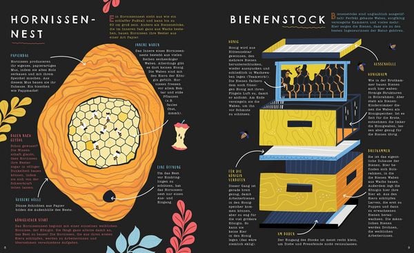 Produktbild: Geniales Innenleben