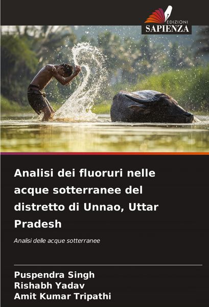 Produktbild: Analisi dei fluoruri nelle acque sotterranee del distretto di Unnao, Uttar Pradesh