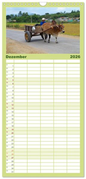 Produktbild: Familienplaner 2026 - K&uuml;he mit H&ouml;rnern mit 5 Spalten (Wandkalender, 21 x 45 cm) CALVENDO