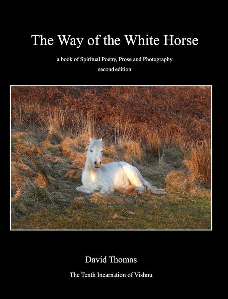 Produktbild: Way of the White Horse