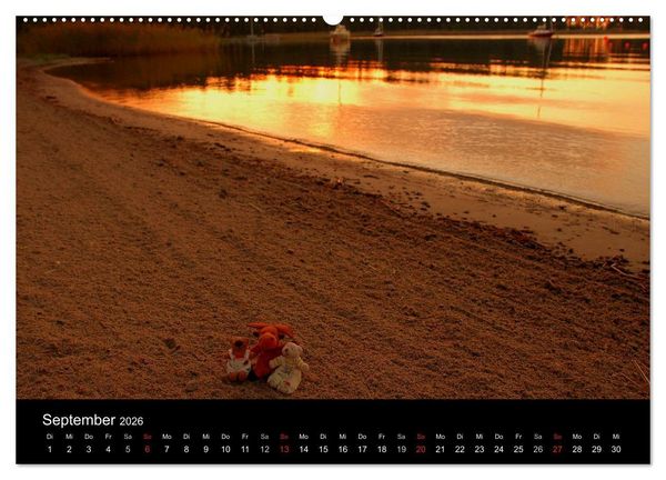 Produktbild: Der B&auml;rchenkalender 2026 (hochwertiger Premium Wandkalender 2026 DIN A2 quer), Kunstdruck in Hochglanz